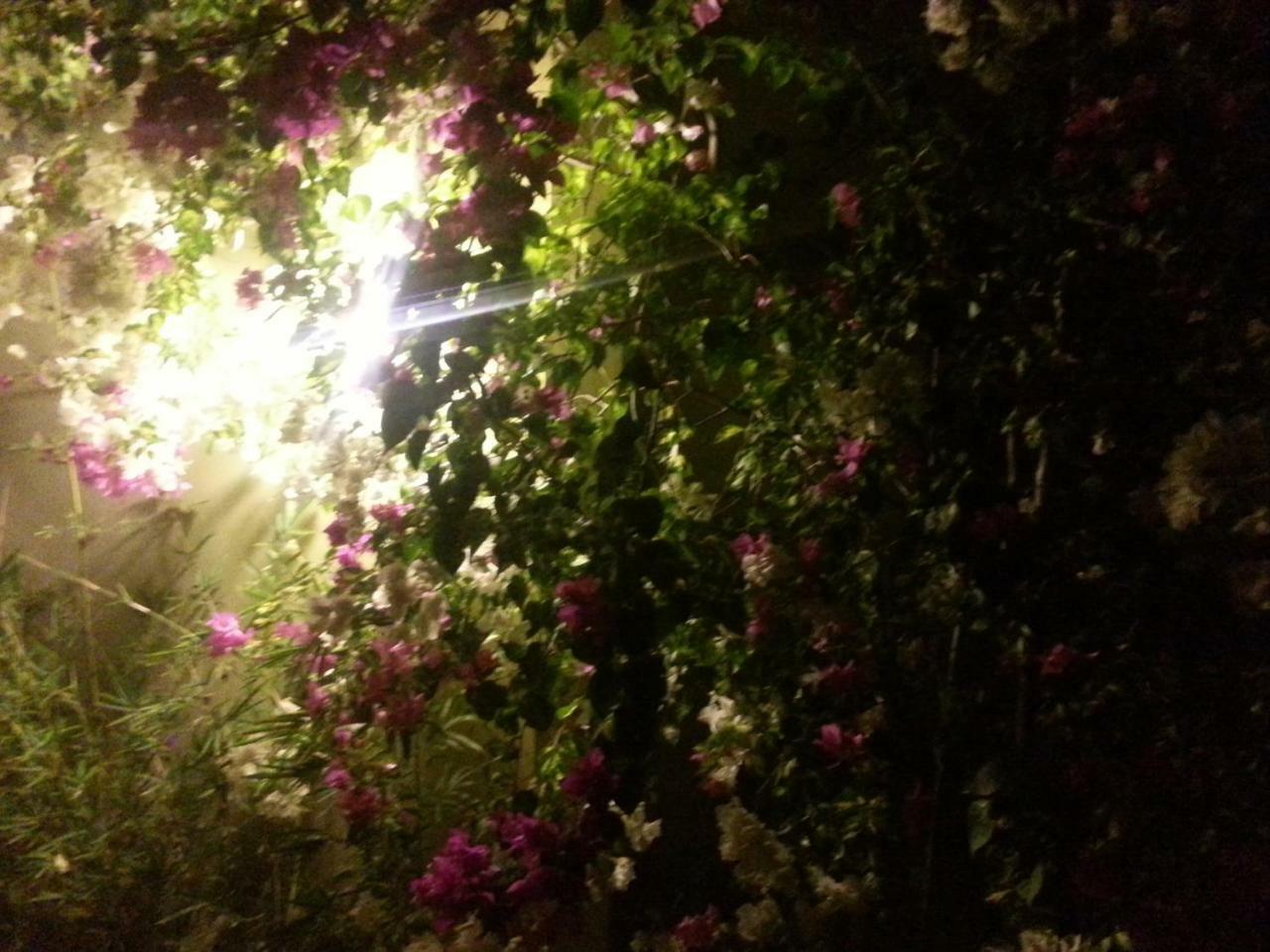Golden Lilies Hotel Kokrobite Exterior foto